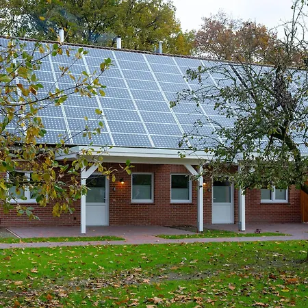 Apartment - Dachsbau *