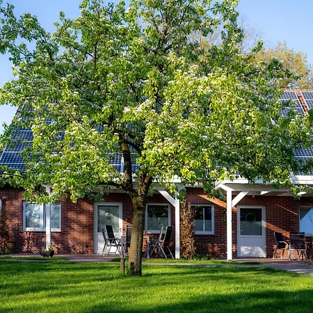 Apartamento - Dachsbau Gronheim